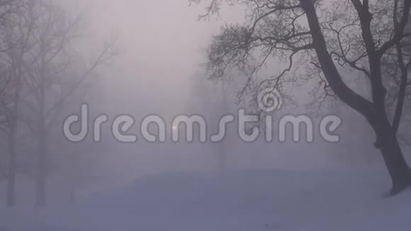 冬天早晨的太阳在黑雾中视频的预览图