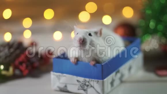 圣诞老鼠2020年新年的象征老鼠年中国2020年新年视频的预览图