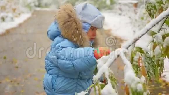 快乐的孩子在公园里玩雪树游戏视频的预览图