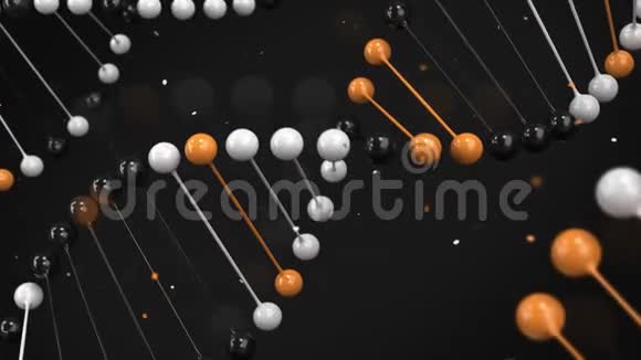 黑色白色和橙色DNA链在黑色背景上的光泽模型视频的预览图