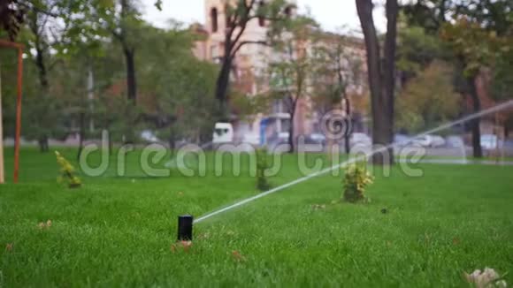 园灌喷灌浇水草坪在园区走道附近自动旋转灌溉系统青草视频的预览图