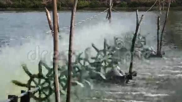 曝气水轮机充氧鱼塘视频的预览图