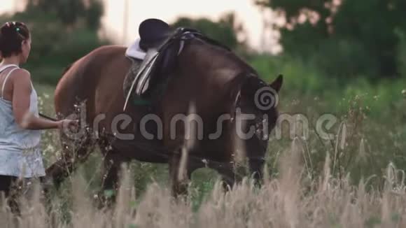 小女孩牵着马去缰绳视频的预览图