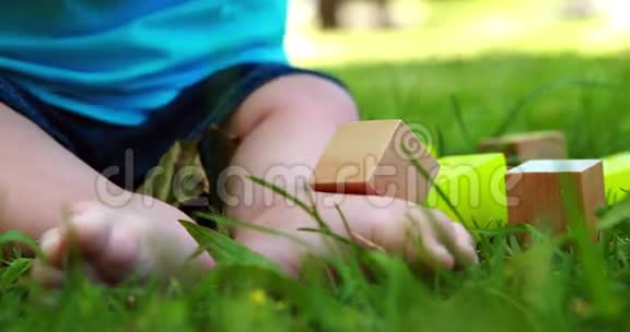 宝宝在草地上玩积木视频的预览图