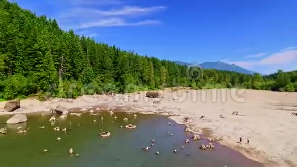 在炎热阳光明媚的夏日蓝色的湖视频的预览图