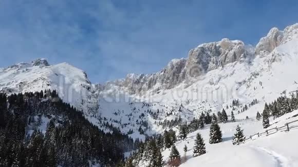 普雷索拉纳是意大利阿尔卑斯山奥罗比山脉冬天下雪后的风景视频的预览图