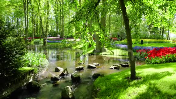 公园里的春天池塘视频的预览图