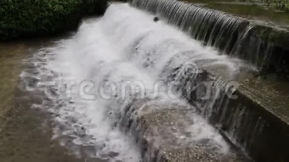 小溪流过山谷视频的预览图