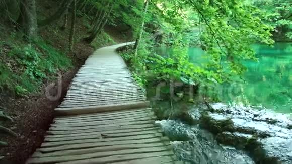 穿过靠近湖边的山林从Plvice湖景视频的预览图
