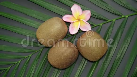 三种鲜生的热带猕猴桃又称棕榈树叶上的中国鹅莓视频的预览图