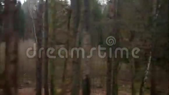 从火车窗口到森林的水平移动视频的预览图