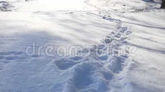 人的脚印在雪地里冬天的风景自然的小径很多雪视频的预览图