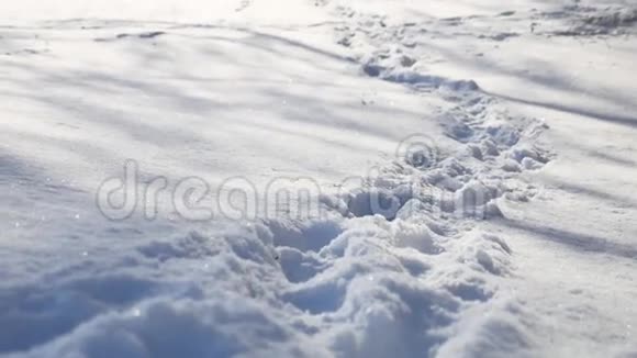 人类的足迹大自然在白雪皑皑的冬天的风景小径上视频的预览图