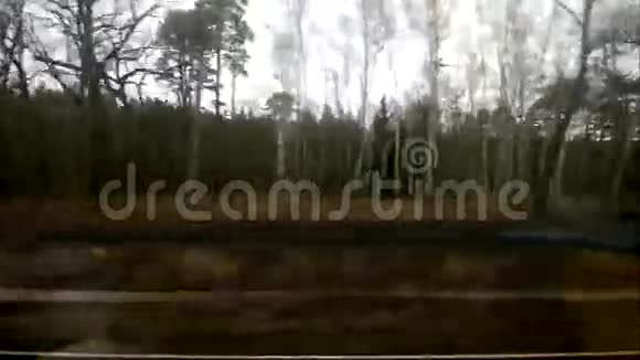 从火车窗口到森林的水平移动视频的预览图