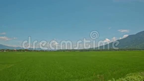 摄像机沿着公路移动穿过稻田对着越南的天空视频的预览图