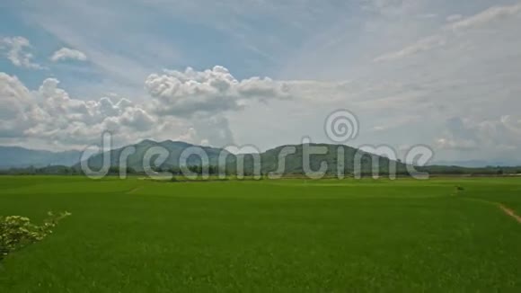 摄像机沿着公路移动穿过稻田对着越南的天空视频的预览图