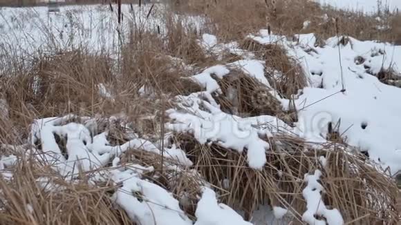 冬天的河流上雪中的干草覆盖着美丽的风景视频的预览图