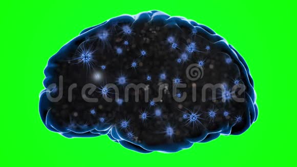 大脑冲动神经元系统人体解剖学传输脉冲和生成信息绿色屏幕视频的预览图