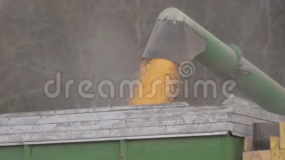 收获玉米的场景视频的预览图