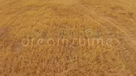 农村农场筒仓的空中镜头视频的预览图