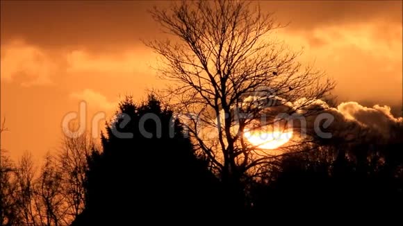 树和红黄云之间的日落视频的预览图
