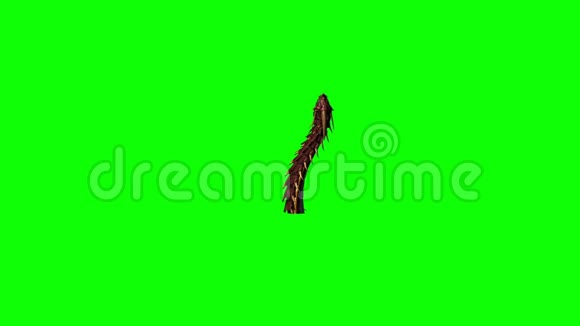 龙虫出现并消失在绿屏上视频的预览图