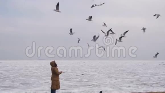 饥饿的海鸥飞翔在冰冻的冰盖海洋上女人飞视频的预览图