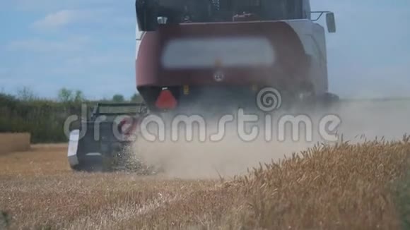 联合收割机收割小麦慢动作视频农业收获概念结合生活方式在田间收获视频的预览图