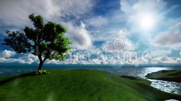 孤岛上一棵美丽的孤树环湖视频的预览图