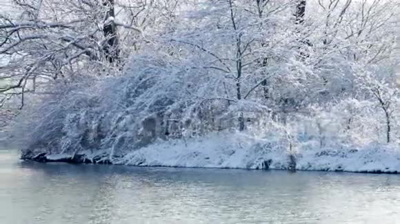 冬天的湖视频的预览图
