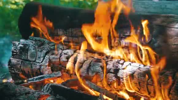 背景起火木头燃烧视频的预览图