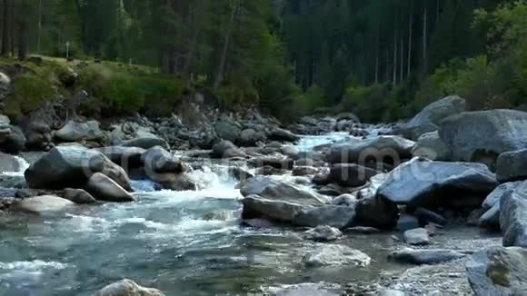 山林中的山河视频的预览图