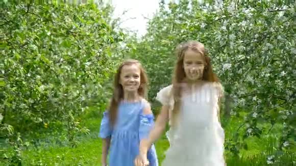 春天盛开的苹果树花园里可爱的小女孩视频的预览图