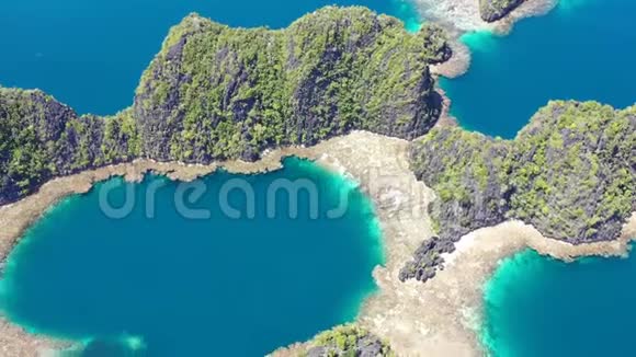 RajaAmpat惊人岛屿和珊瑚礁的鸟瞰图视频的预览图
