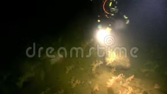 水下海底潜水器视频的预览图
