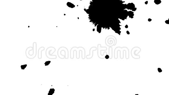 黑墨点在白色背景上散布黑墨点视频的预览图