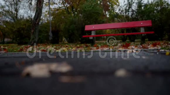 秋天公园的长凳视频的预览图