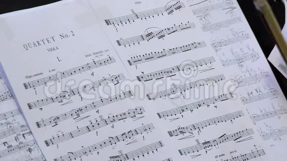 弦乐四重奏音乐会的细节视频的预览图