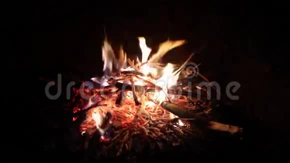 一团火在黑夜中燃烧视频的预览图