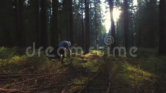 摄影师在春天的寂静森林里拍照视频的预览图
