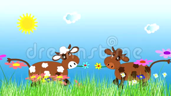 奶牛在绿色的草地上跳舞和放牧视频的预览图