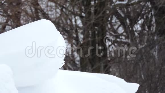 冬天在森林里下雪暴风雪暴风雪视频的预览图