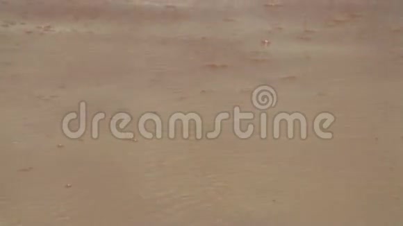 海浪在沙滩上冲浪马尔代夫快关门视频的预览图