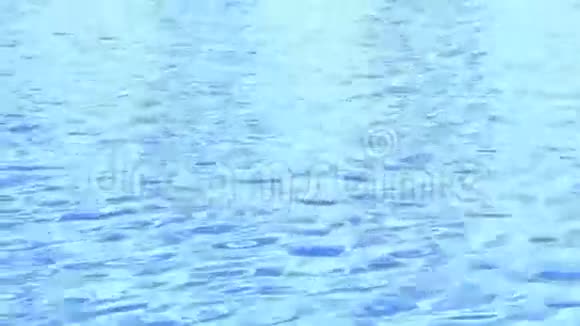 完美无缝的浅蓝水运动表面背景游泳池视频的预览图