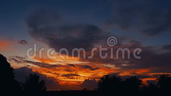 时光流逝夕阳西下丛林中的日出棕榈树的轮廓明亮的卷云视频的预览图