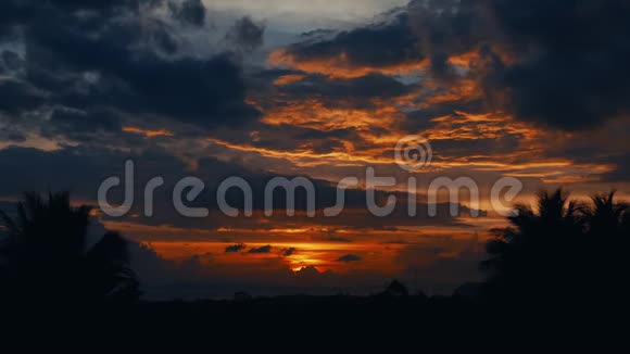 时光流逝夕阳西下丛林中的日出棕榈树的轮廓明亮的卷云视频的预览图