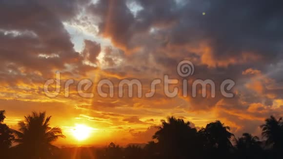 时光流逝夕阳西下丛林中的日出棕榈树的轮廓明亮的卷云视频的预览图