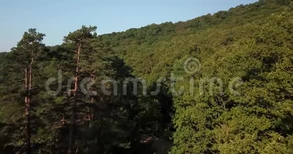 俄罗斯高加索夏季绿树和山的高空俯视图视频的预览图