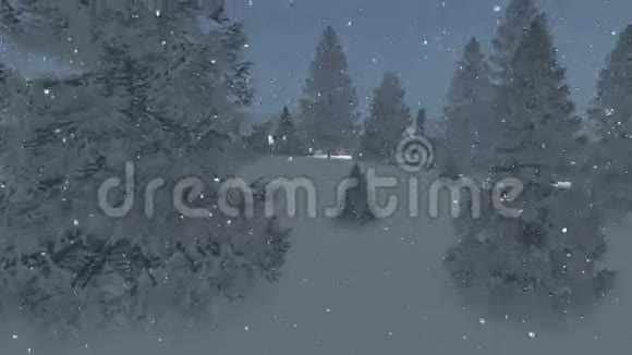 在下雪的夜晚梦幻般的乡镇空中景观视频的预览图