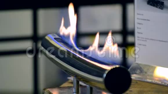乙醇气体现代生物壁炉视频的预览图